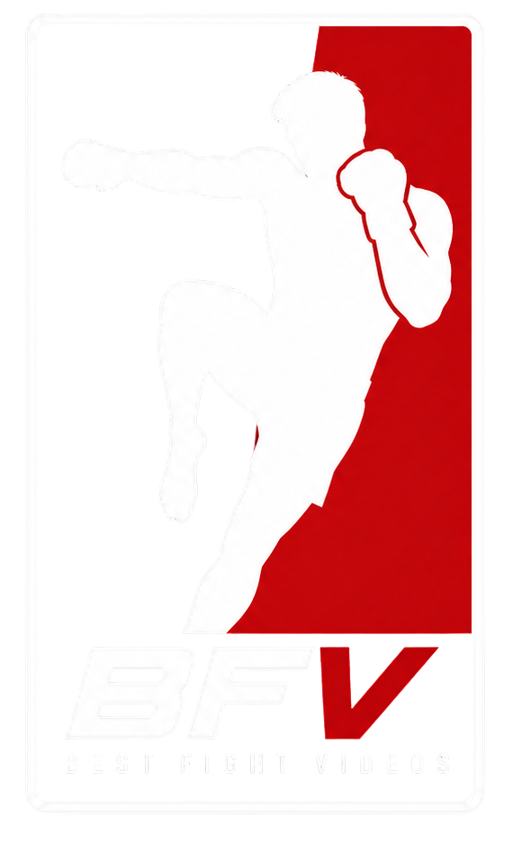 Best Fight Videos